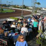 LosAl_Race_0053 (July 26, 2015)